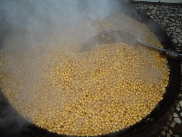 烀酱黄豆,烀黄豆做酱块的东北农家酱