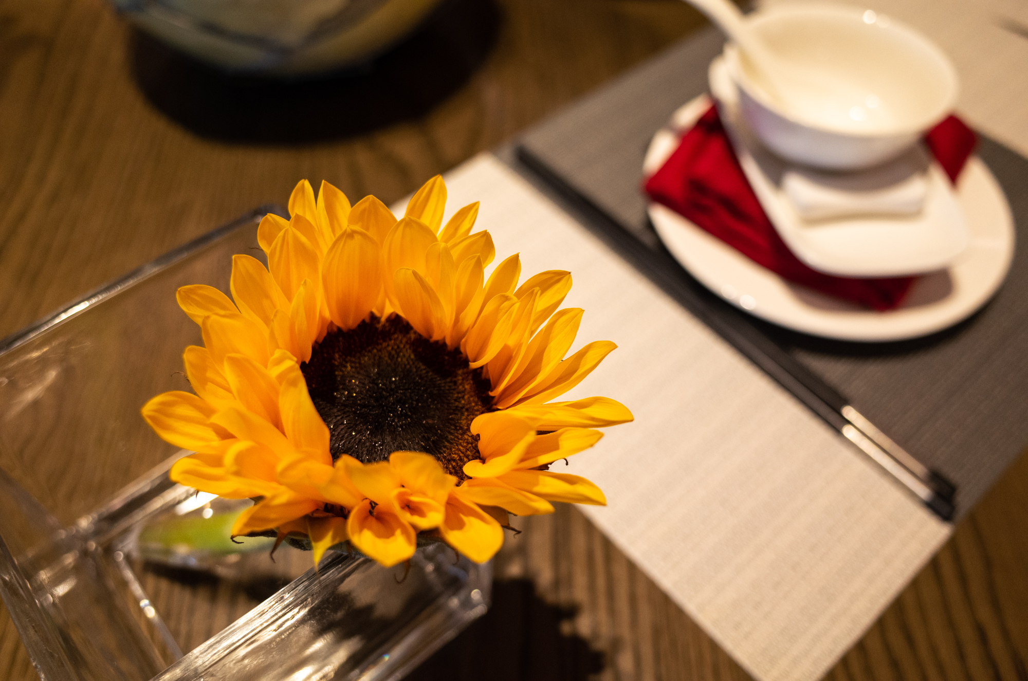 三亚索菲特度假酒店,三亚索菲特酒店攻略