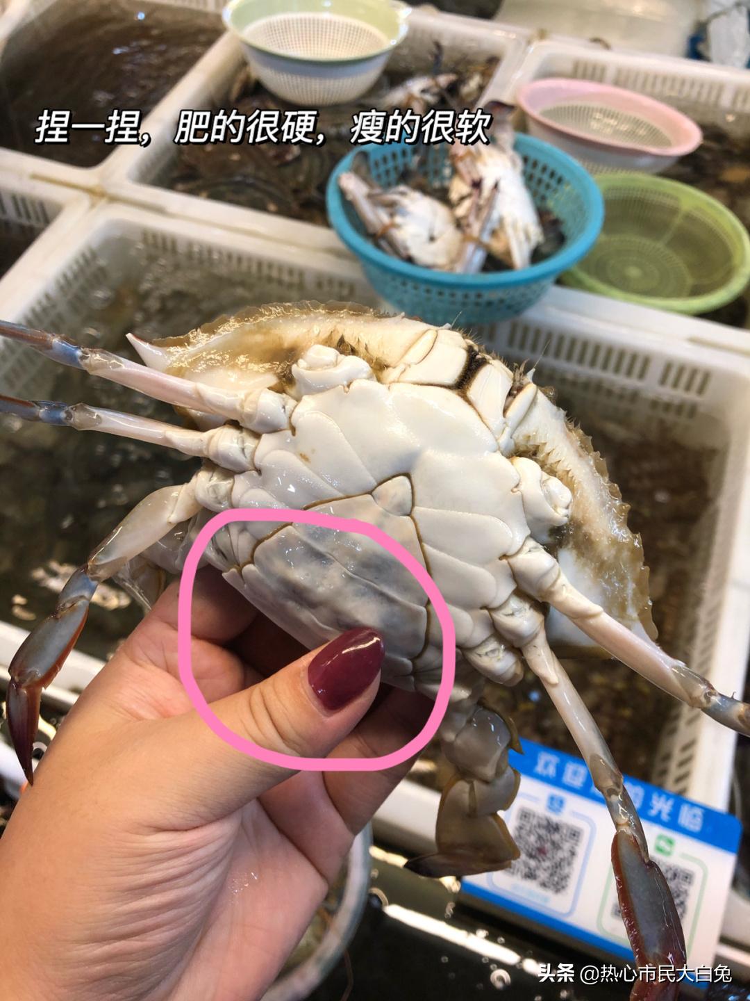 又到了吃螃蟹的季节你会挑吗,最适合吃螃蟹的季节是什么时候呢