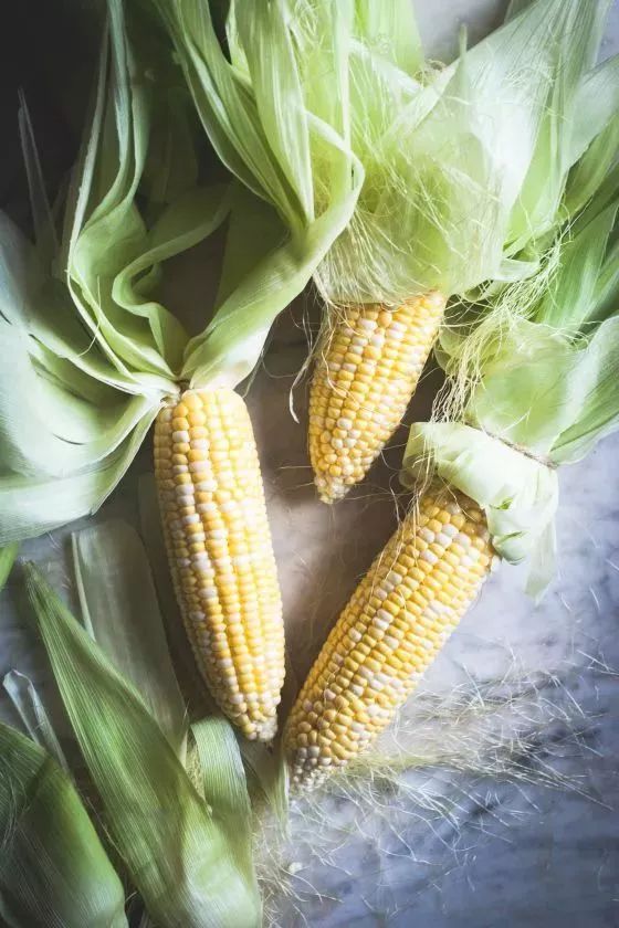 玉米棒子插水里，7天冒出小森林