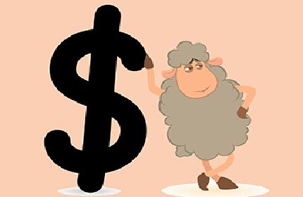 奥斯卡一览表,奥斯卡羊毛是什么毛