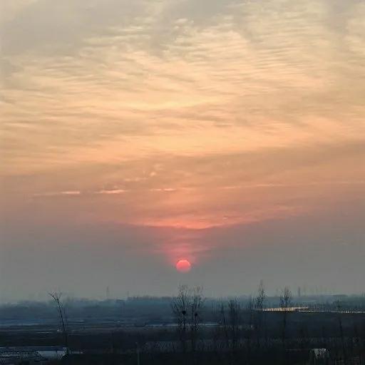 我为什么不读书,读完大冰的书有什么感想