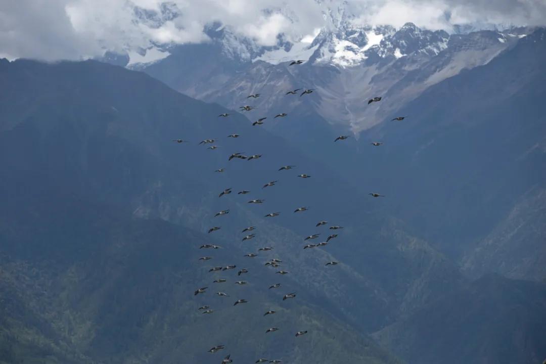 这座比《盗墓笔记》更危险的雪山，他守了35年