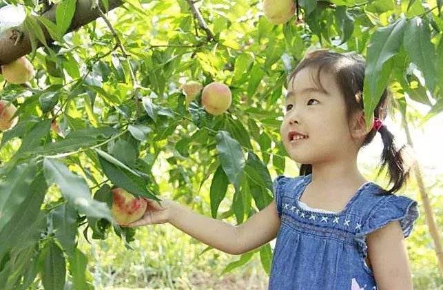 把千岛湖“装”进自家民宿，做了一个无敌湖景泳池，让无数人尖叫