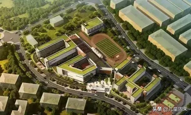 深圳五大梯队小学,深圳5大梯队高中