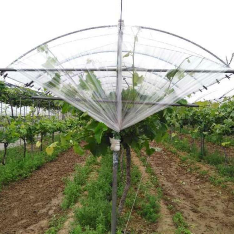 广西钢架大棚造价多少钱一平,三门峡养殖大棚钢架一亩价格