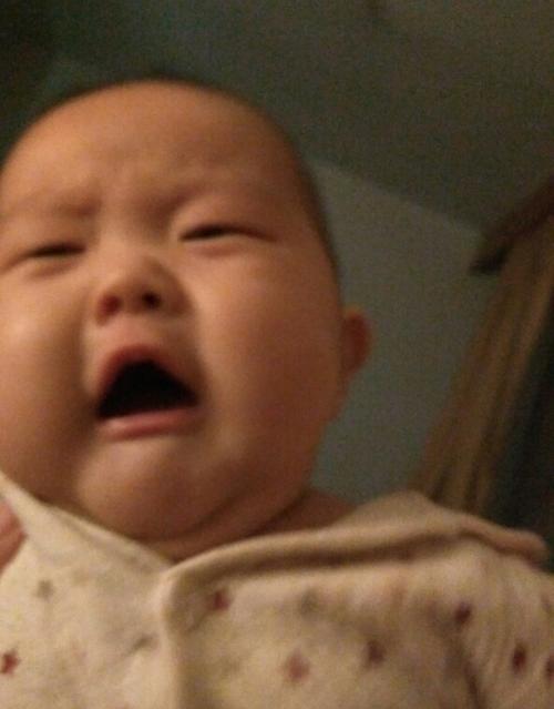 “小特务宝宝”和大爷对暗号火了，内心：队长别开枪，是我