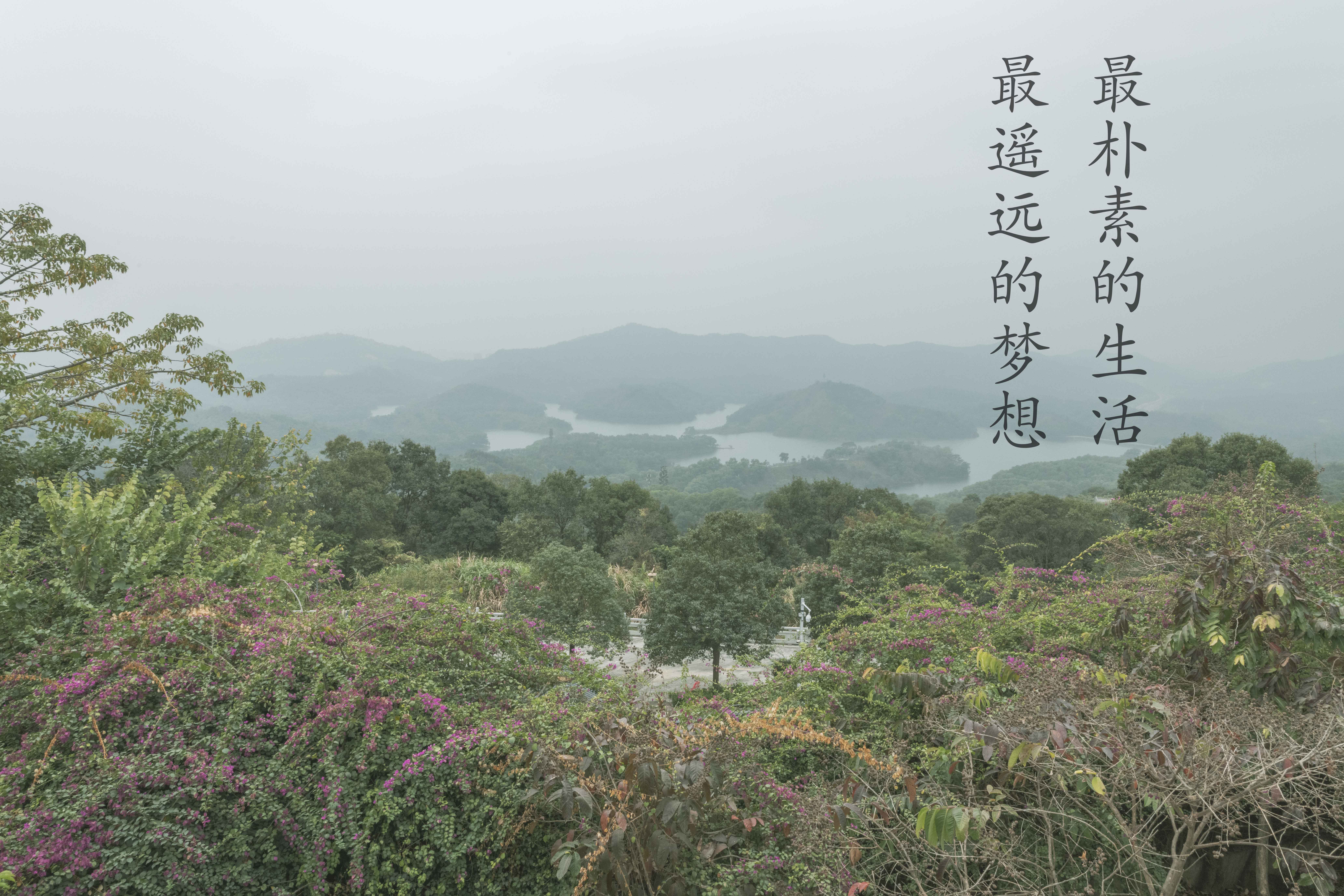 自由职业摄影师技巧与方法,摄影爱好者要不要去做职业摄影师