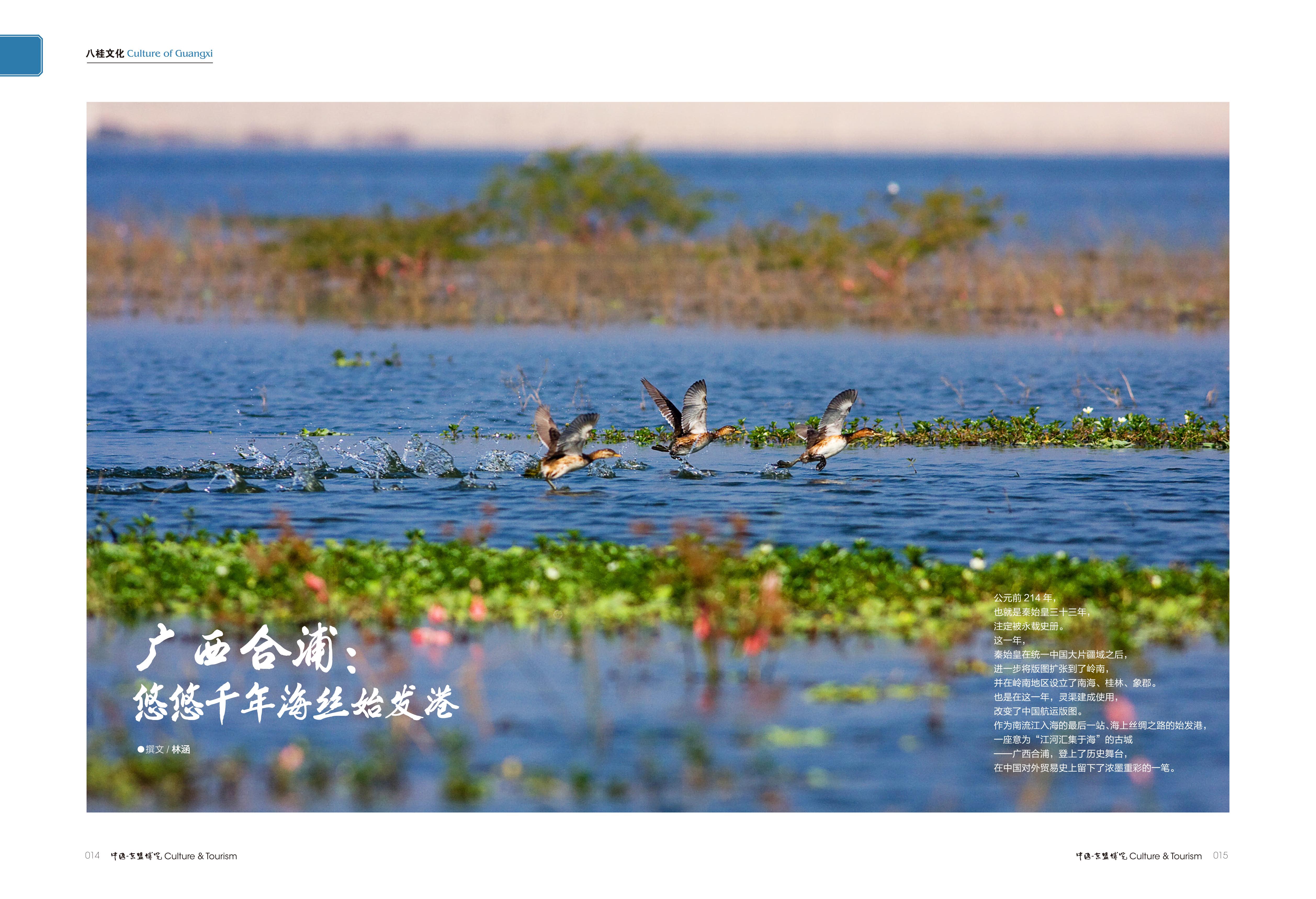 合浦海丝首港始发港,合浦海丝首港始发港景区元旦