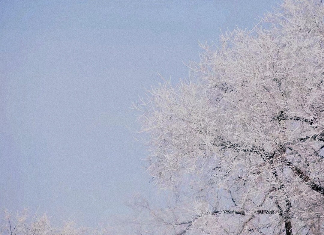 荣耀手机拍照怎么更清晰,荣耀手机拍照怎么好看