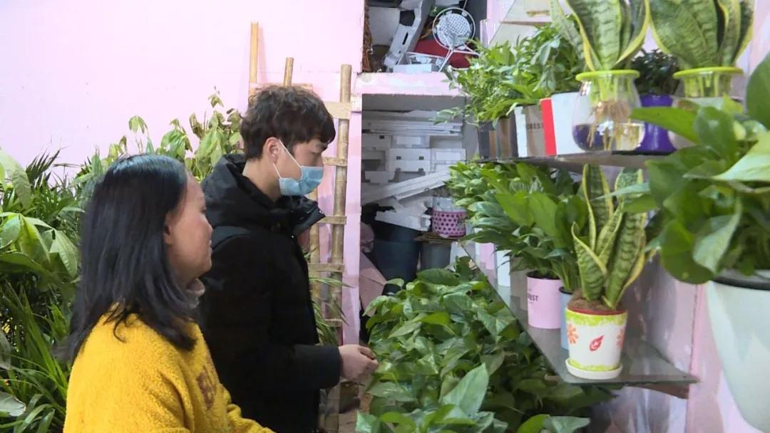 新村花卉市场春节营业时间,春节将至花卉市场销售旺