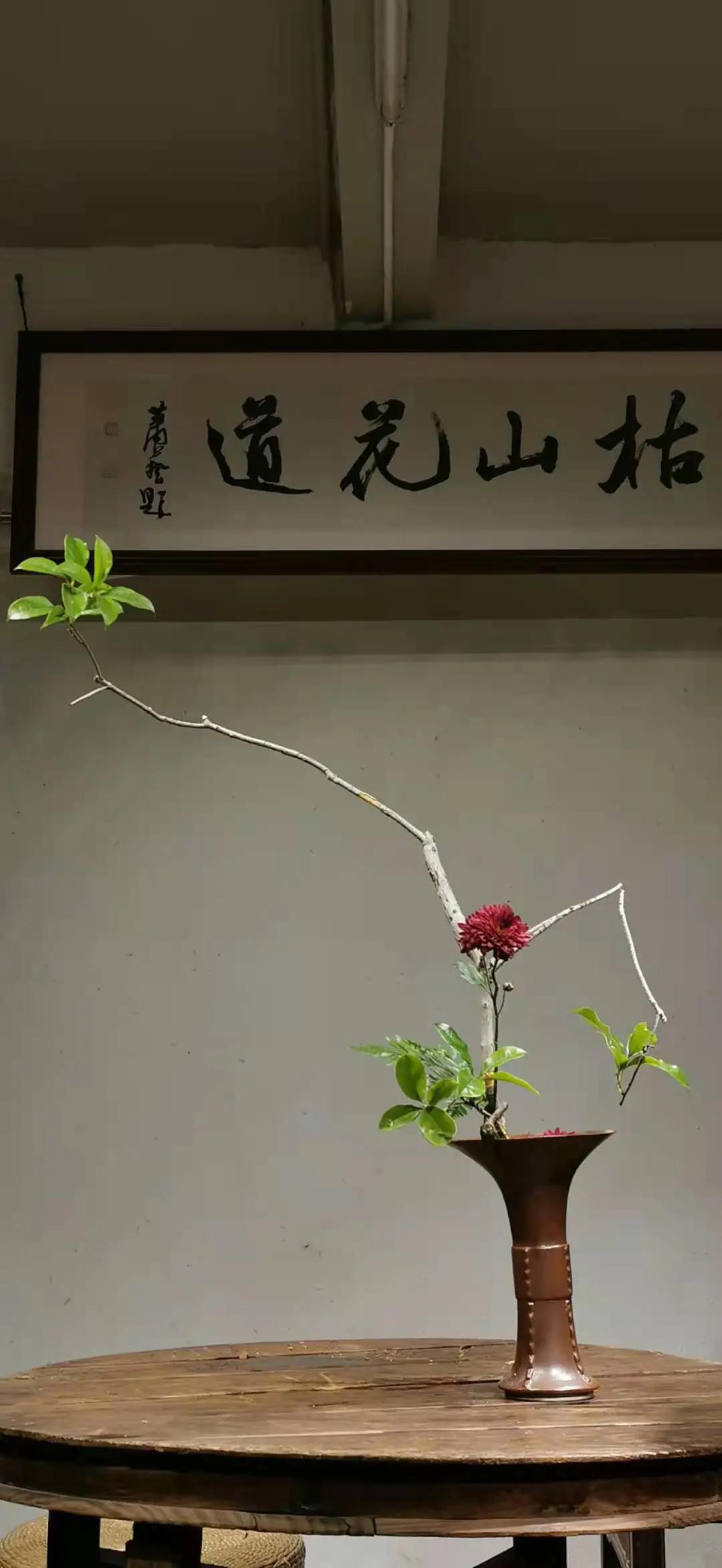 年年皆是,年年皆是如此什么意思