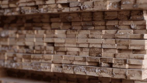 小米硬刚德国双立人，400年非洲灌木做家用砧板，不发霉砍不坏