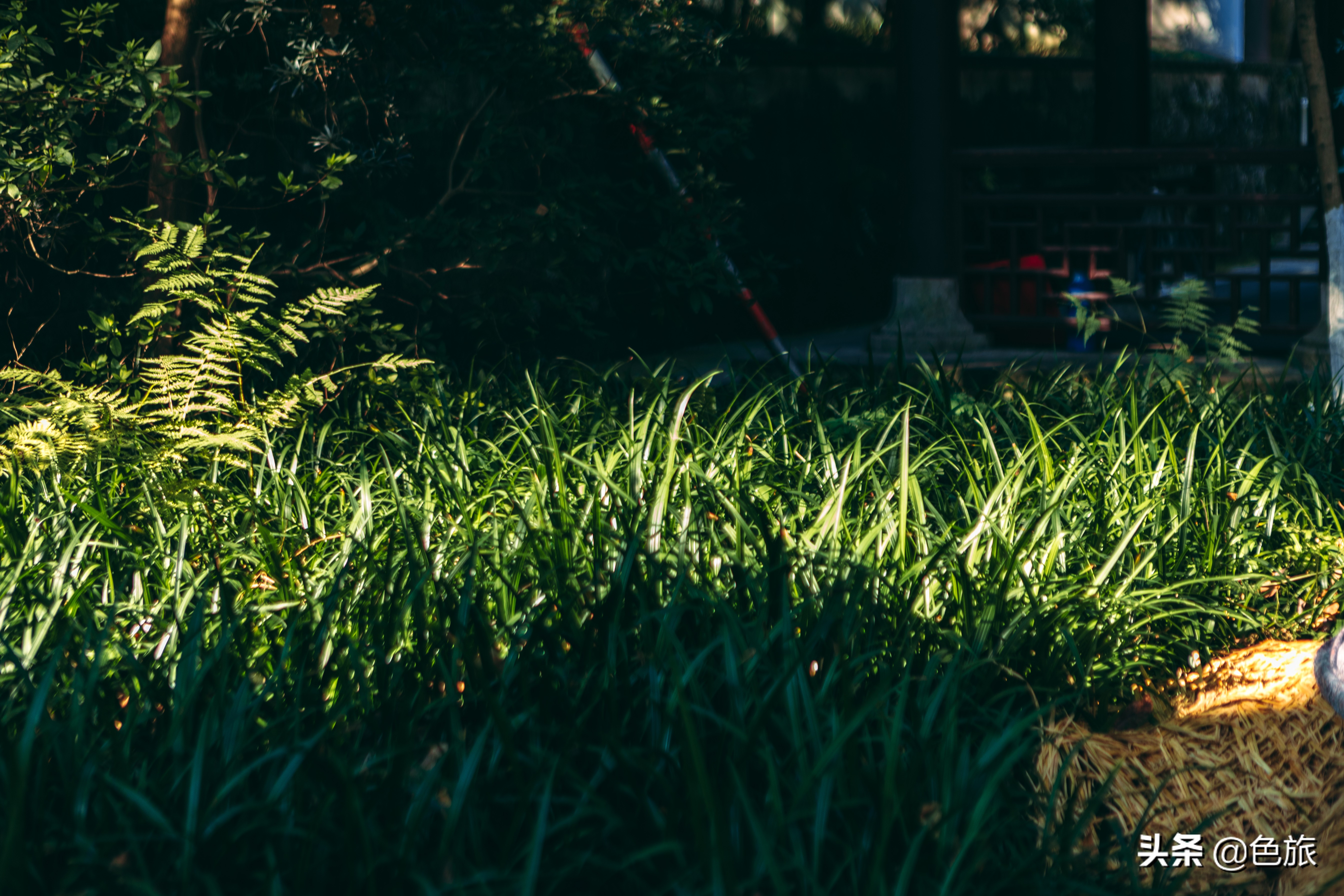 逆水寒游历虎跑梦泉怎么出葫芦,杭州游玩虎跑泉