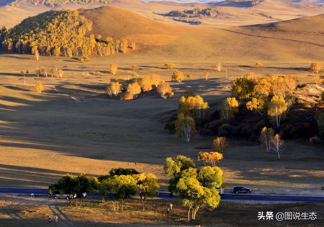 一口气看完塞罕坝全篇,参观塞罕坝有感1000字