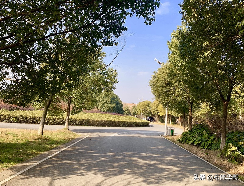 苏州托普职业技术学院阳澄湖,昆山托普职业技术学院阳澄湖