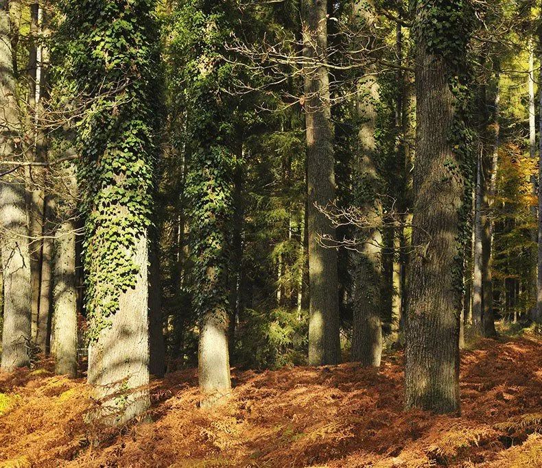 实木浴室柜在什么价位,实木浴室柜好在哪里呢
