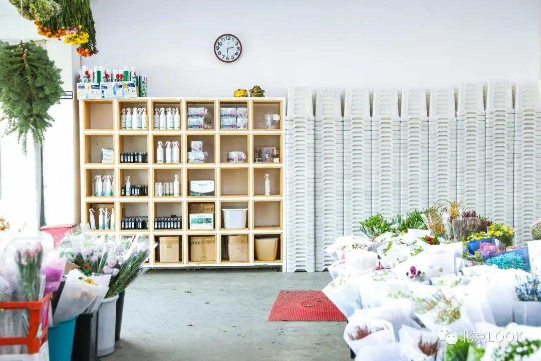 北京最大的露天花卉,北京最大的花卉大观园