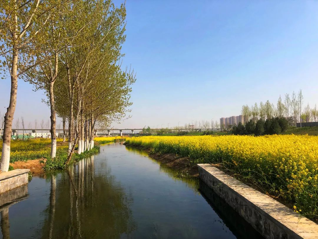 西安西咸新区交大创新港,西安交大创新港三期规划