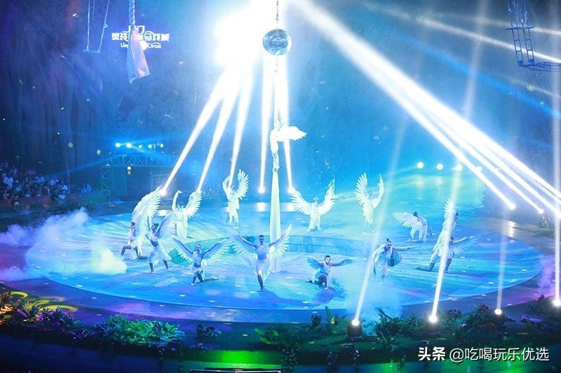 厦门灵玲动物王国大熊猫,厦门马戏团灵玲动物王国观光游览