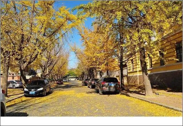 大连哪里的秋色最美呢,大连赏秋景的地方