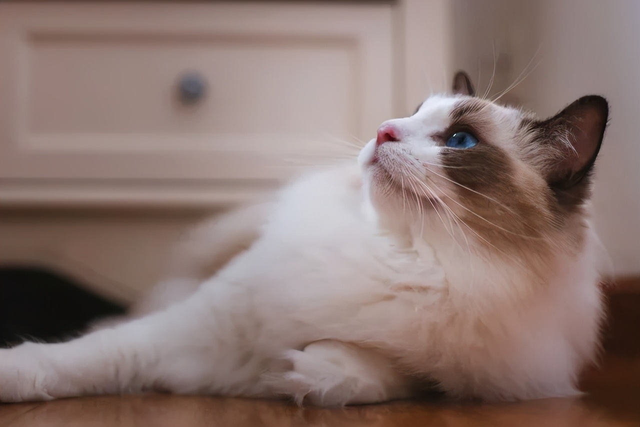 连用90天，拍摄近千G。EOSR5发布三个月后的使用报告