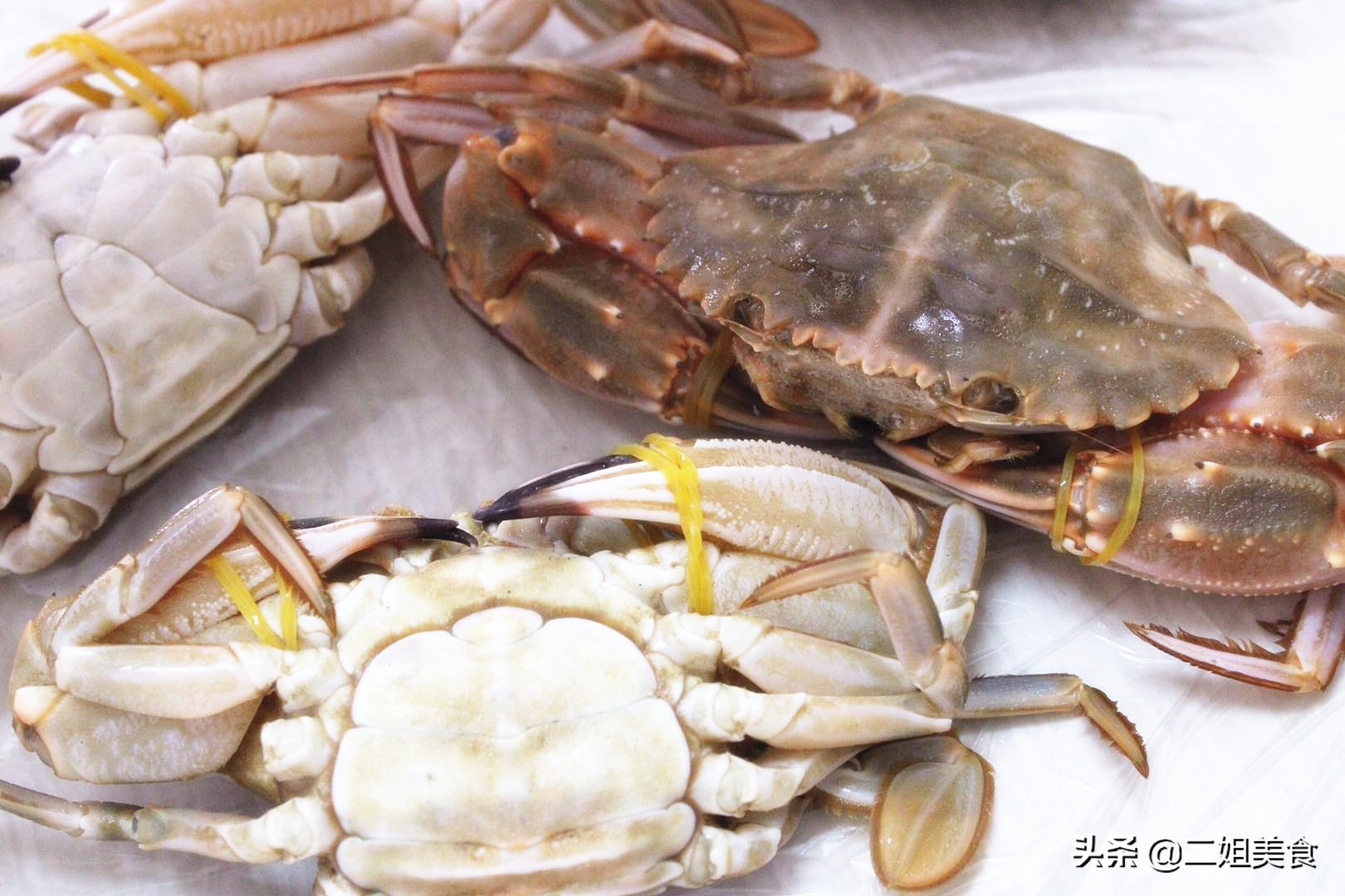 螃蟹买黄色的好还是买青的好,买螃蟹需要注意什么怎么选