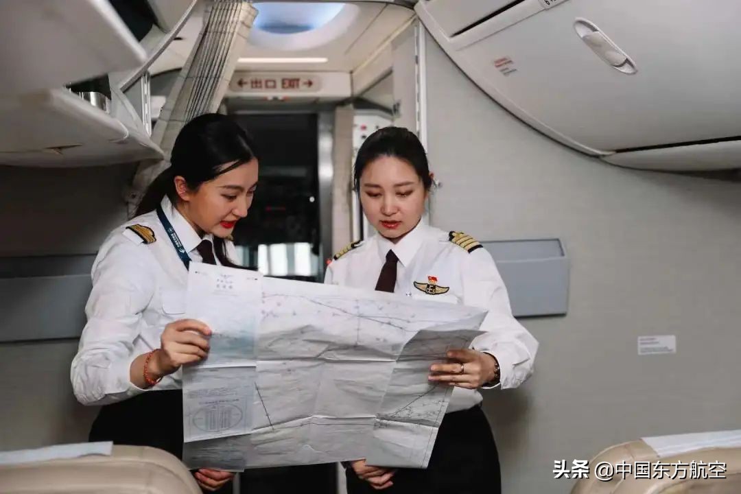 飞行员打假事件,飞行员评判标准