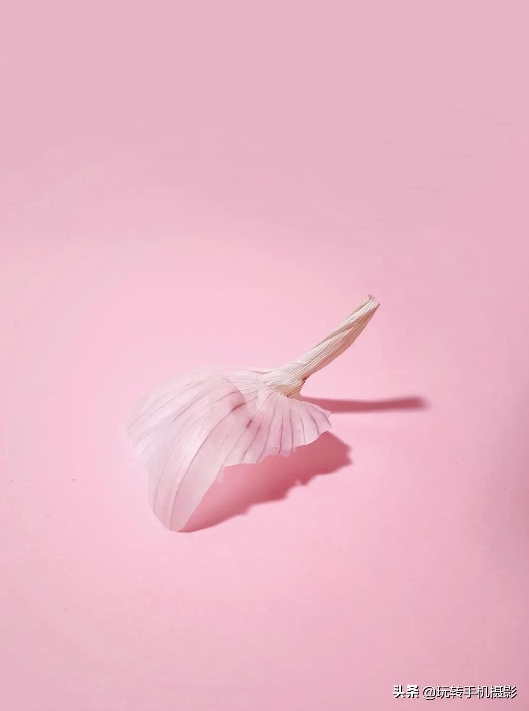 蒜头拍照,蒜头拍照怎么拍