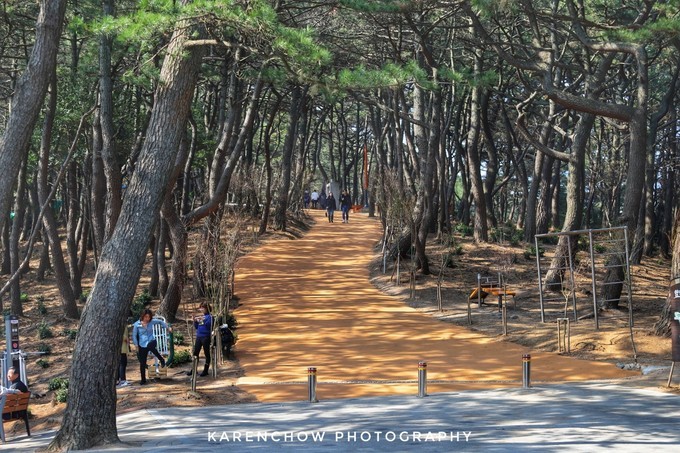 韩国安东美食,韩国釜山必游胜地
