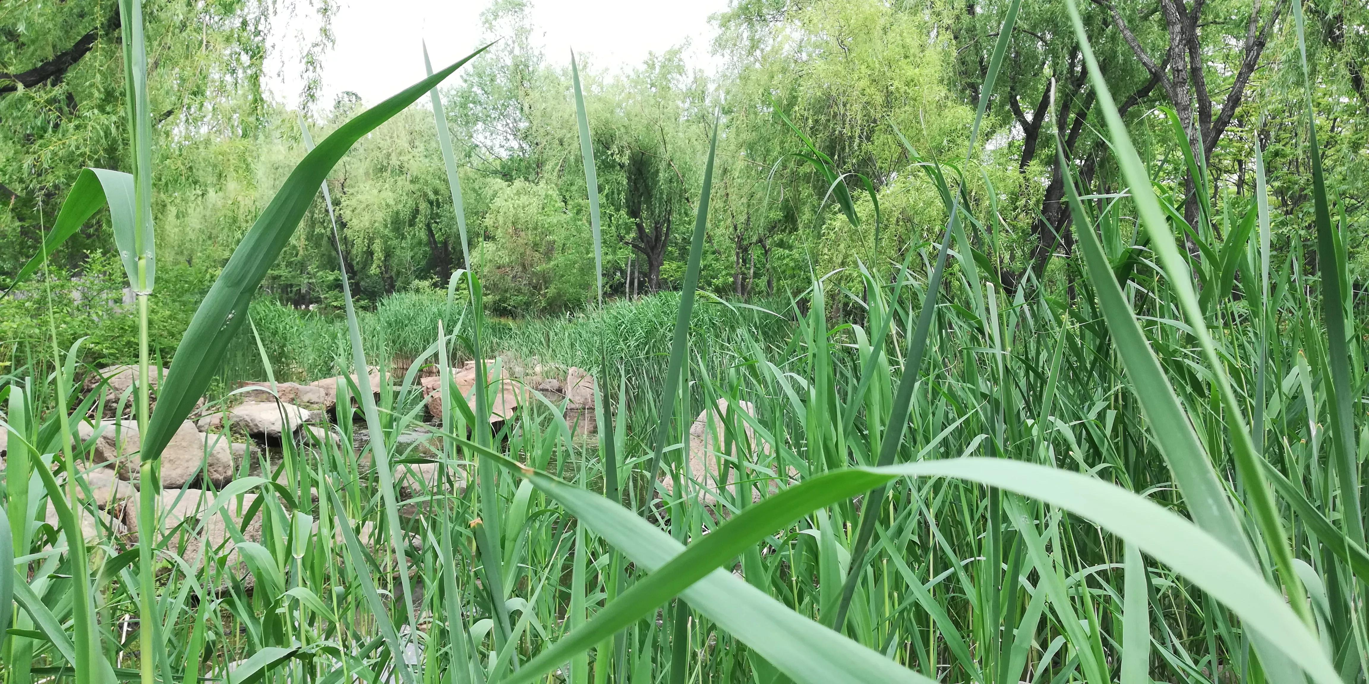 美女稽查官，夜闯“迷你”酒吧，与老板私下做生意