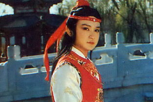 红楼梦贾宝玉看到囚车里坐的是谁,红楼梦贾宝玉竟乞讨到袭人家门口