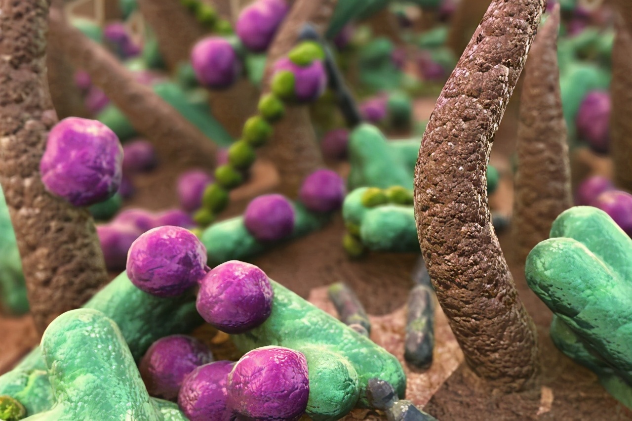 2亿资金到账，基因界黑马获得腾讯支持，两年半攒下近30项专利