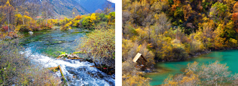 阳光景区附近的美食,阳光福地茂县路灯