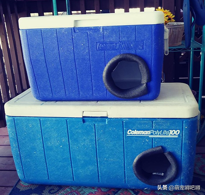 废弃的冷藏箱能做什么?美国一男子给出了答案——流浪猫庇护所