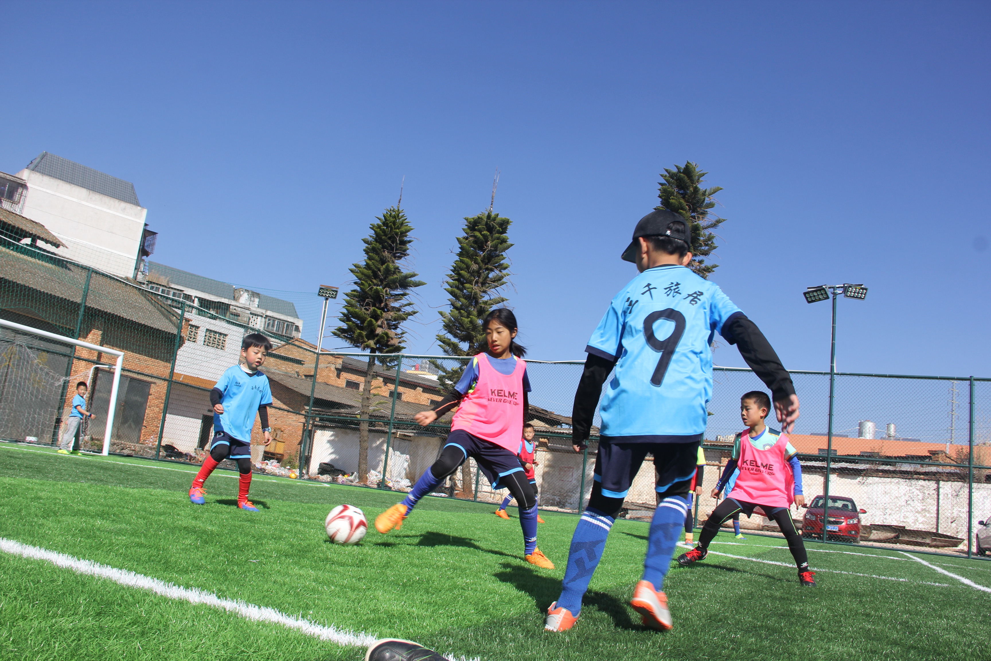 鑷存暚浜戝崡鎶楃柅鑻遍泟,鑷存暚鎶楃柅鑻遍泟鍐涜