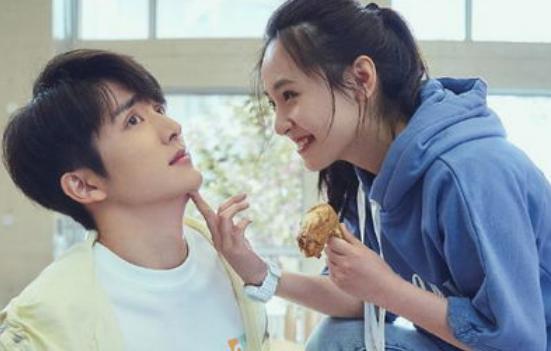 冰糖炖雪梨电视剧全部40集,冰糖炖雪梨电视剧值得看吗