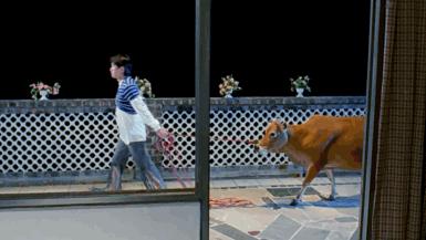 年度最强港剧一集入坑三集,港剧神仙阵容