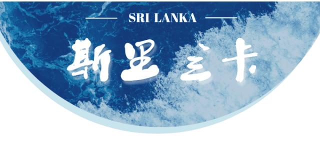 超猛!双十一机票全攻略!附君行义工项目航线最省钱买法