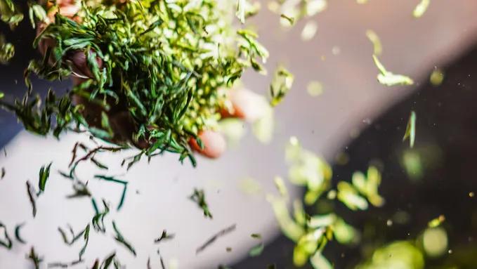 豪宅喝茶,豪宅庭院喝茶