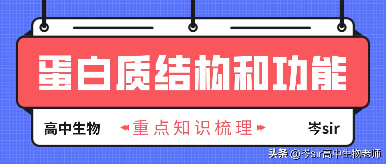 高中生物蛋白质知识点讲解,高中生物必修一蛋白质知识框架图