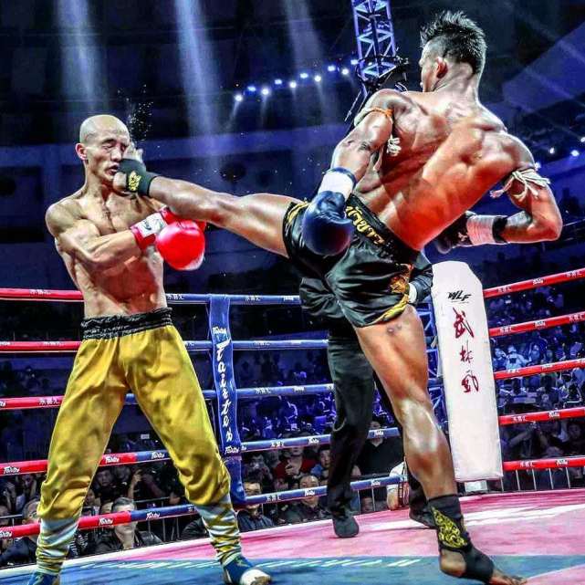 一龙拳击武术视频,一龙挑战泰森泰森的回应视频