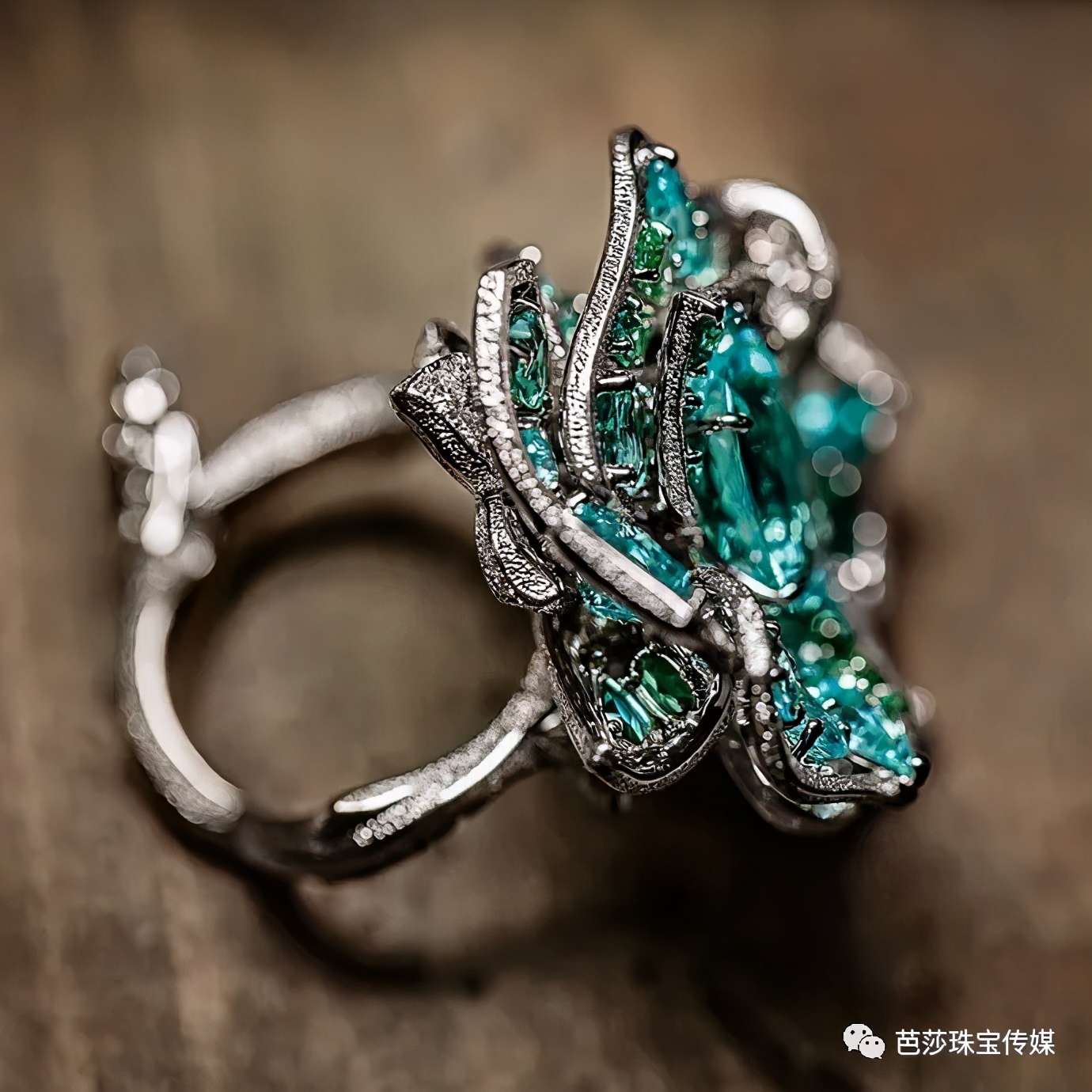 大牌高珠扎堆“上新”,外行看热闹、内行看什么?