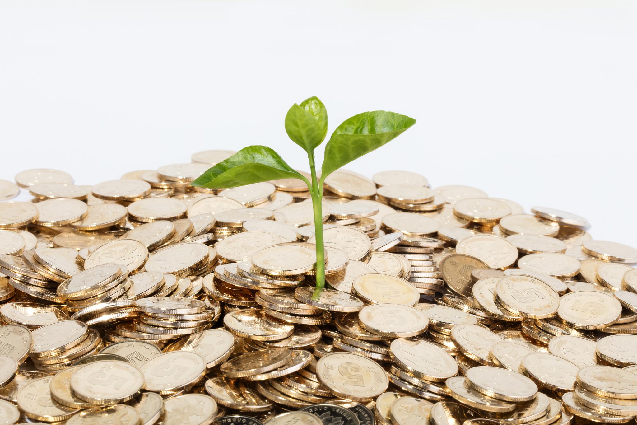 新四板上市条件,新四板准备上市企业