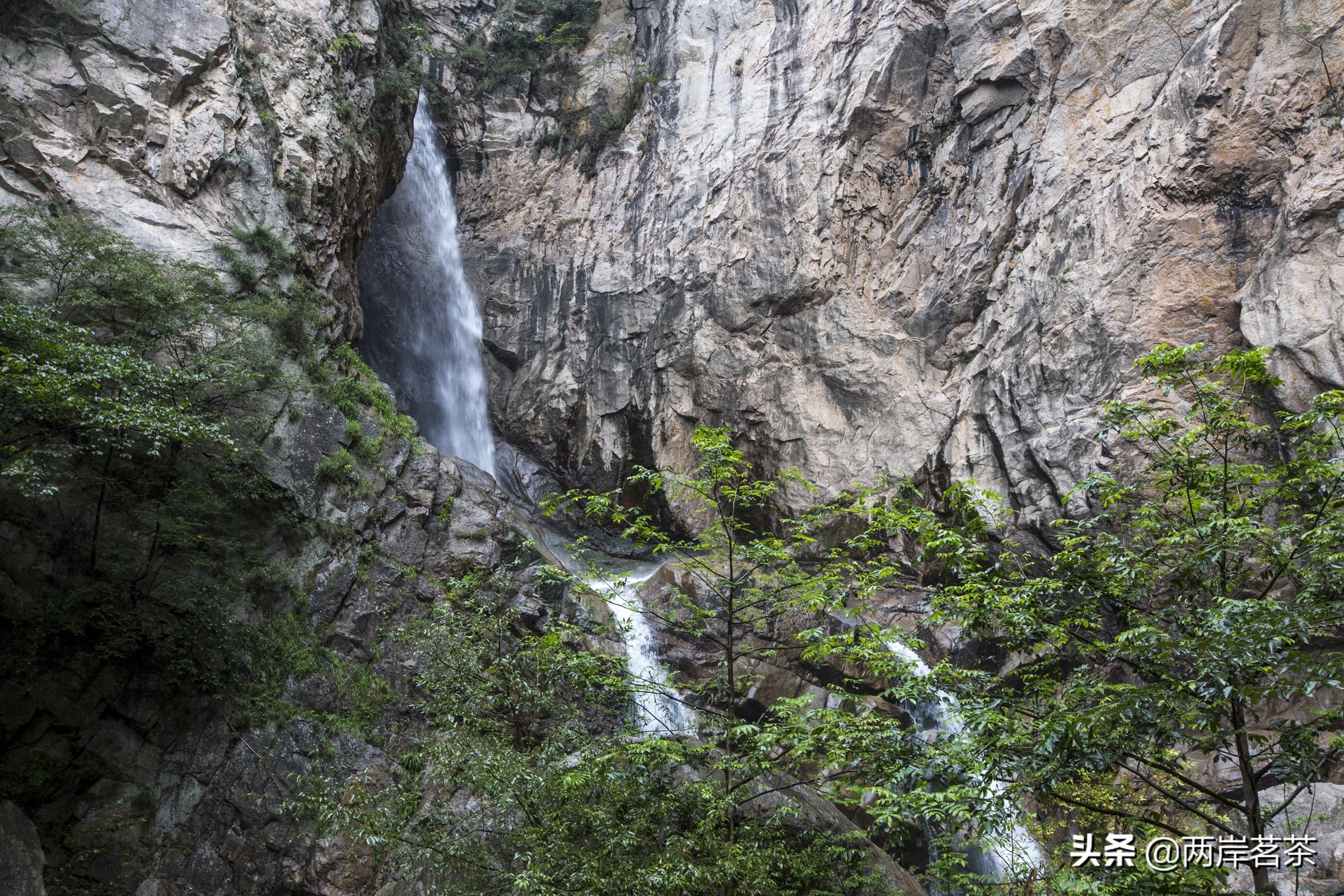 再看白云山，看山不是山，它是一本百读不厌的百科全书