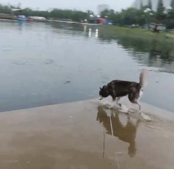 为什么职场中少一些吐槽,当代职场人的辛酸