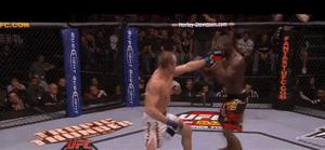 格斗明星的标准动作,格斗如何练抗打能力视频