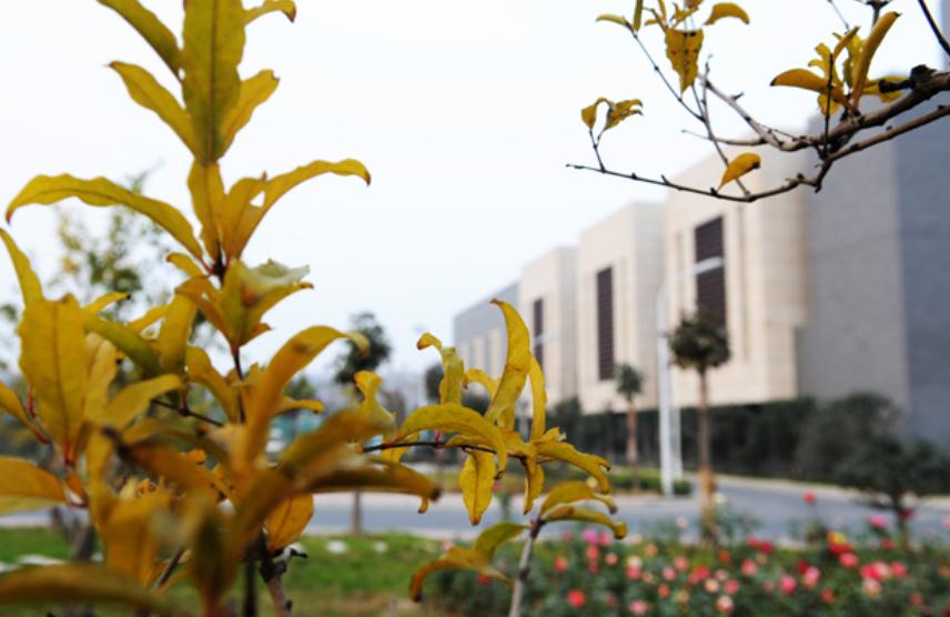 最好的五所二本大学,二本院校最有实力的40所大学