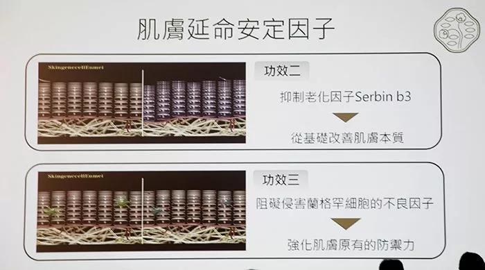 资生堂哪个系列性价比高,资生堂哪个系列效果最好