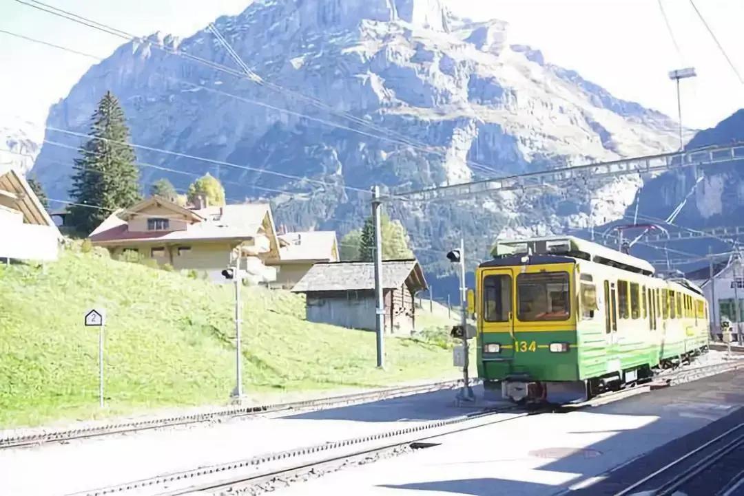 日本冷知识100个,日本冷知识15条